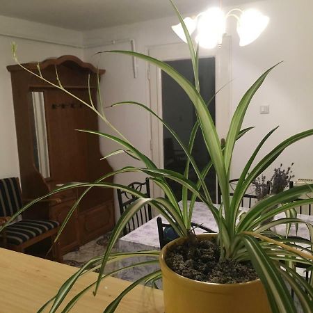 Levendula Apartmanhaz Leilighet Sümeg Eksteriør bilde