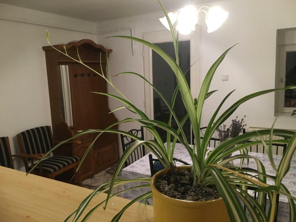 Levendula Apartmanhaz Leilighet Sümeg Eksteriør bilde